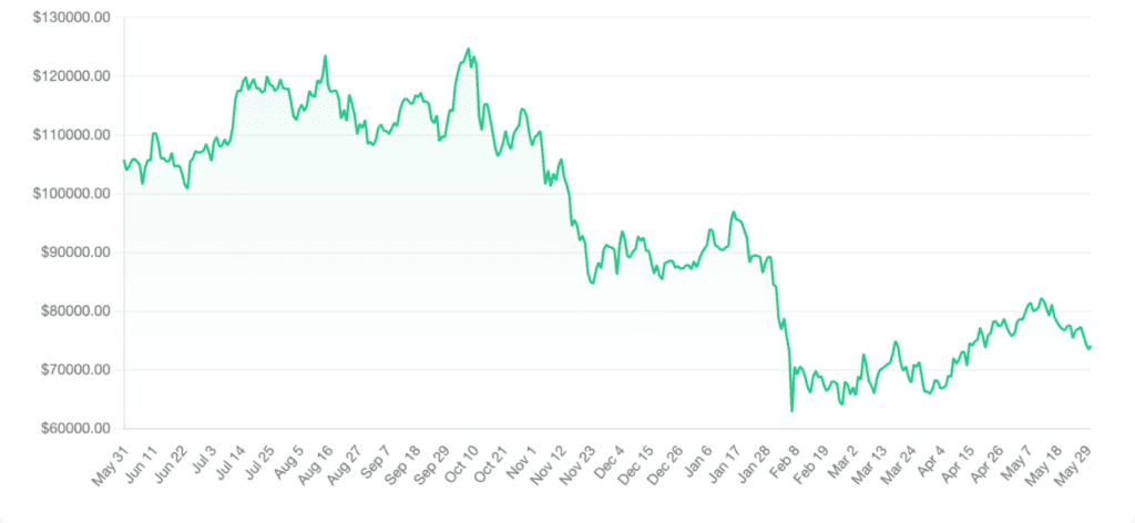 Fluctuatiile de pret inregistrate de criptomoneda bitcoin in ultimele 12 luni